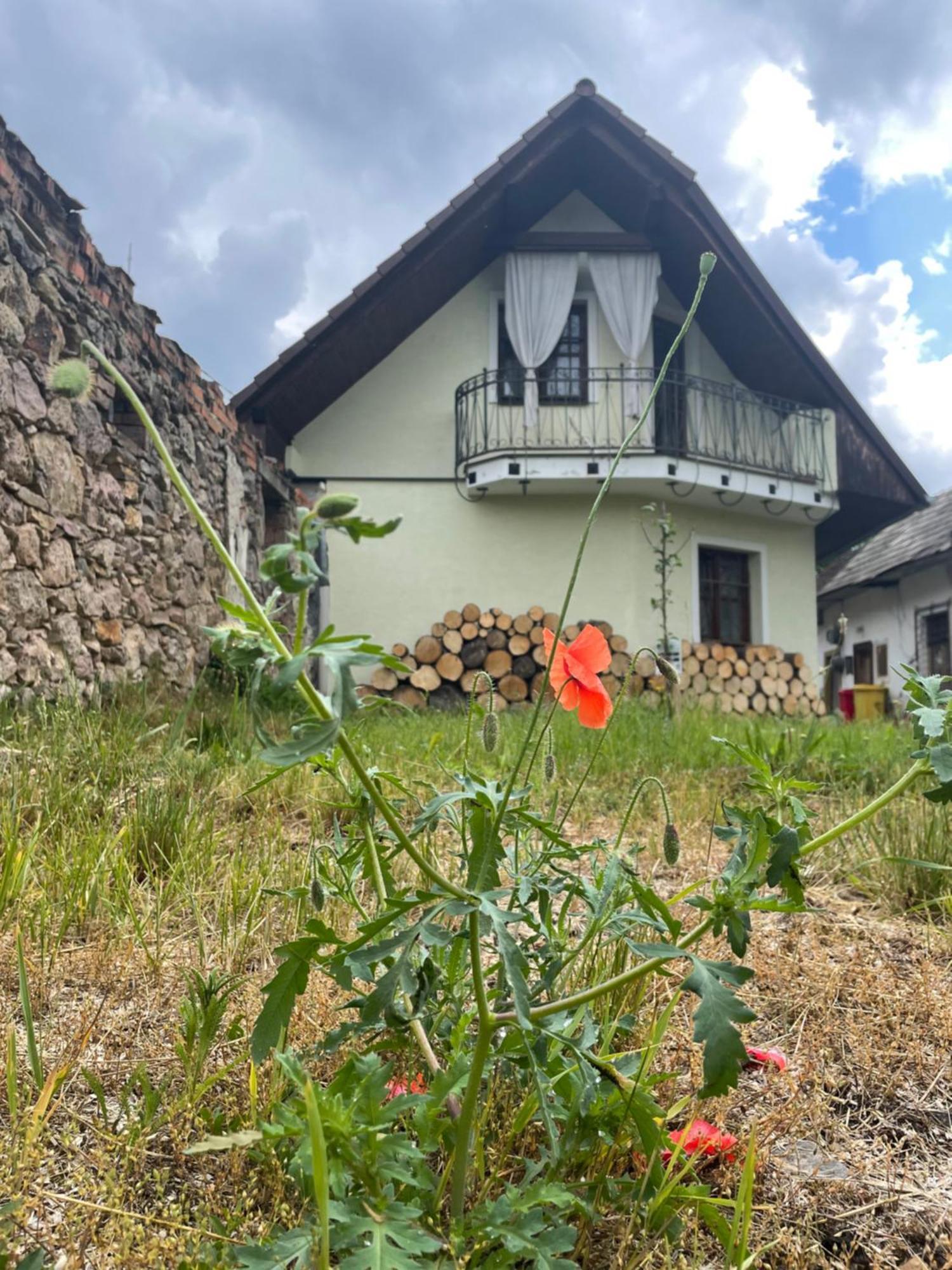 Chalupa V Hliniku Hlinik nad Hronom Esterno foto